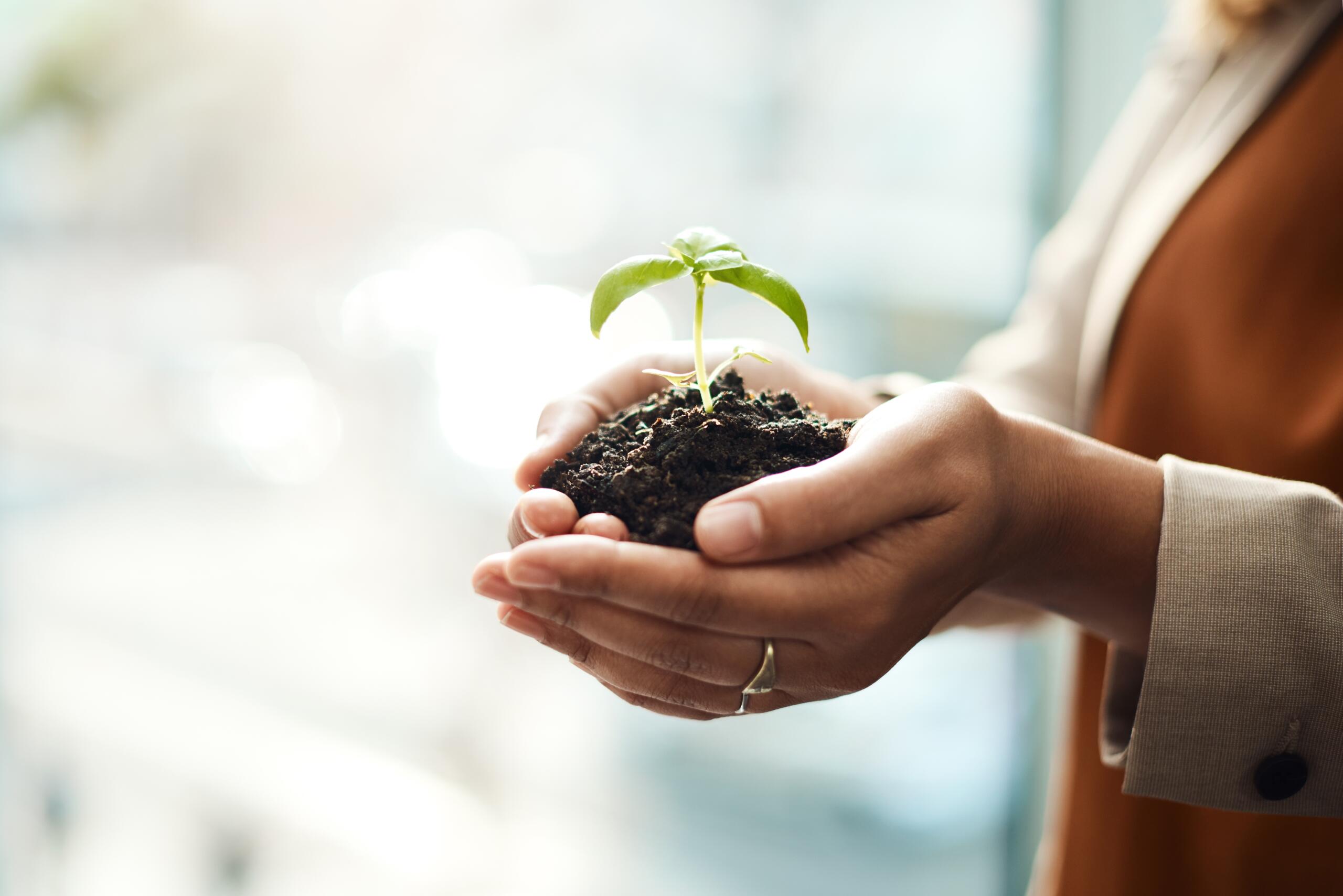Sustainability